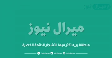 منطقة بريه تكثر فيها الأشجار الدائمة الخضرة