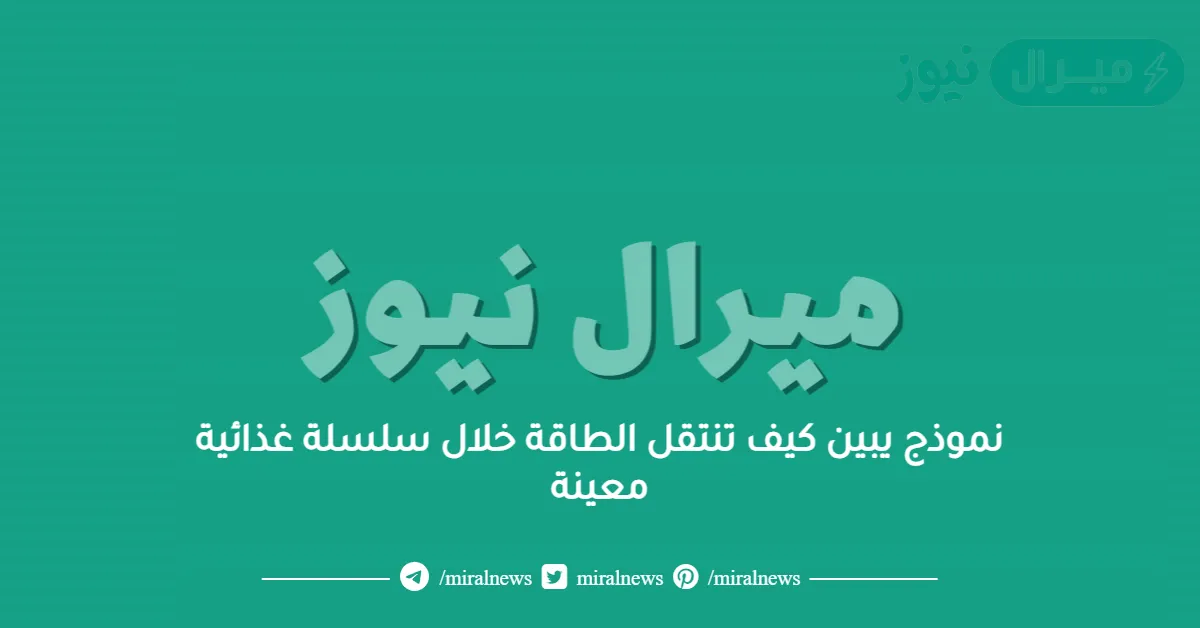 نموذج يبين كيف تنتقل الطاقة خلال سلسلة غذائية معينة