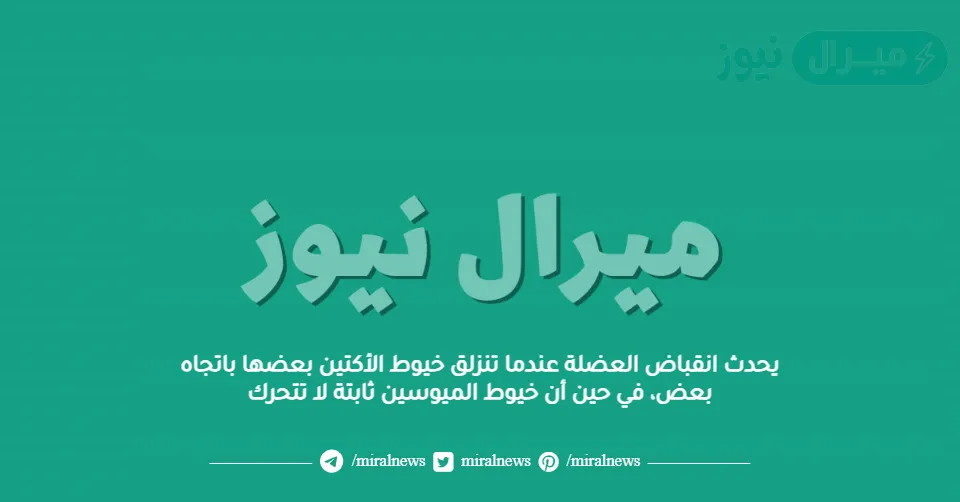 يحدث انقباض العضلة عندما تنزلق خيوط الأكتين بعضها باتجاه بعض، في حين أن خيوط الميوسين ثابتة لا تتحرك