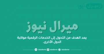 يعد الهدف من التحول إلى الخدمات الرقمية مواكبة الدول الأخرى.
