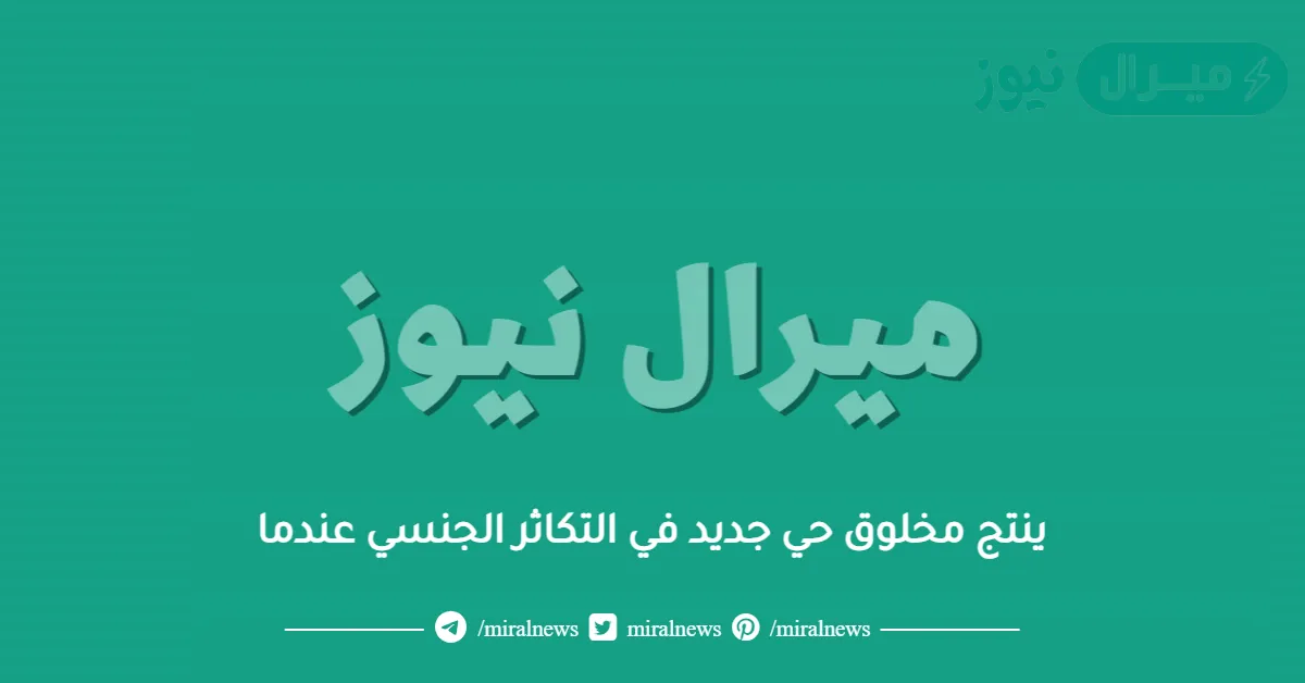 ينتج مخلوق حي جديد في التكاثر الجنسي عندما