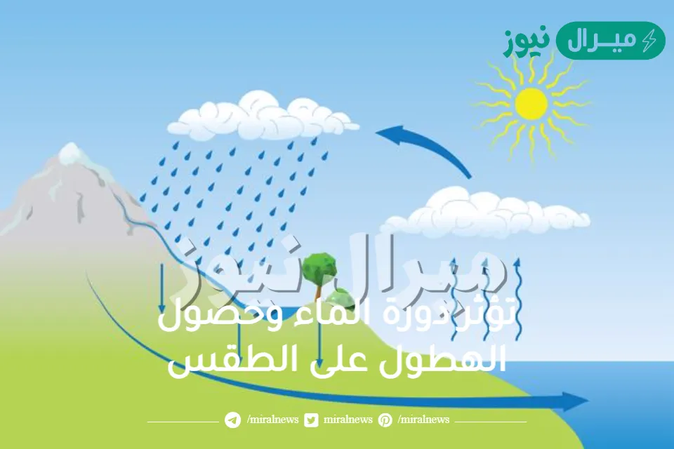 تؤثر دورة الماء وحصول الهطول على الطقس