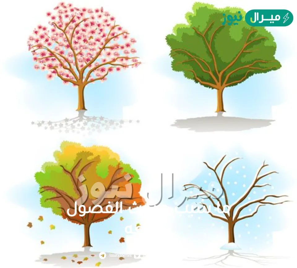 ما سبب حدوث الفصول الاربعه