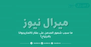 ما سبب شعور المدمن على عقار كالماريجوانا بالارتياح؟
