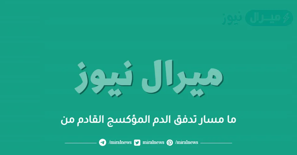 ما مسار تدفق الدم المؤكسج القادم من