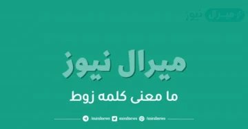 ما معنى كلمه زوط