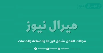 مجالات العمل تشمل الزراعة والصناعة والخدمات.