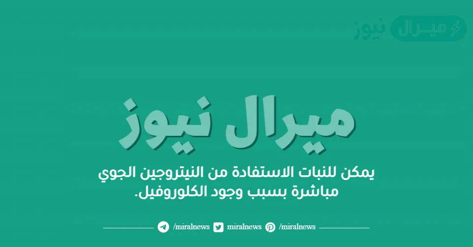 يمكن للنبات الاستفادة من النيتروجين الجوي مباشرة بسبب وجود الكلوروفيل.