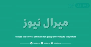 choose the correct defintion for gossip according to the picture.