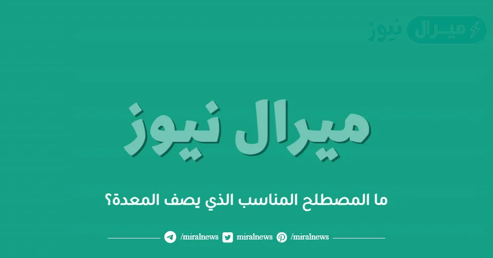 ما المصطلح المناسب الذي يصف المعدة؟