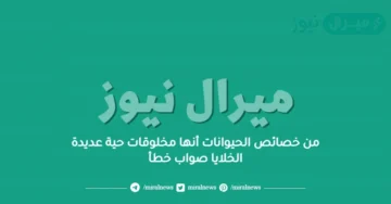 من خصائص الحيوانات أنها مخلوقات حية عديدة الخلايا صواب خطأ