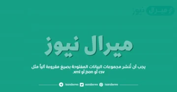 يجب أن تُنشر مجموعات البيانات المفتوحة بصيغ مقروءة آلياً مثل csv أو json أو xml.