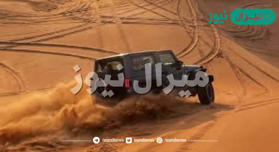 أفضل رحلات سفاري في الرياض لعشاق المغامرات والتشويق