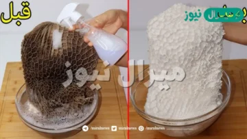 استعدي للعيد واللحمة.. طريقة تنظيف الكرشة في المنزل بطريقة سهل بدون كحت