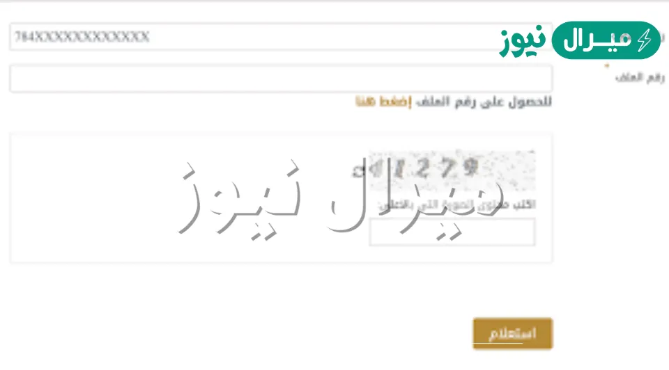“برقم الملف” الحصول على طلبـ مساعدة مالية ديوانِ الرئاسةِ الإمارات كيف أحصل عليه diwan.gov.ae؟
