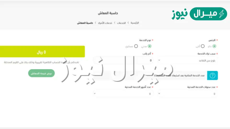بالهجري أم بالميلادي.. كيفية احتساب العمر في التأمينات الاجتماعية