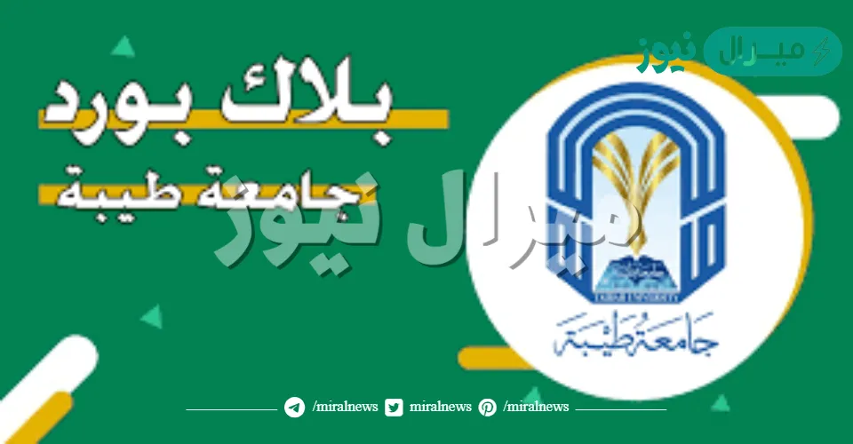 رابط بلاك بورد جامعة طيبه black board تسجيل دخول للتعليم عن بعد