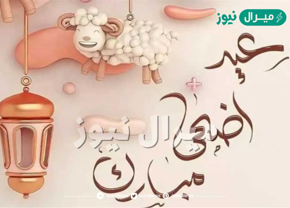 تهنئة عيد الأضحى.. اجمل مسجات للتهنئة بالعيد الكبير مكتوبة