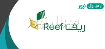 برنامج ريف| يحدد شروط الحصول على دعم ريف الجديدة وأسباب رفض طلب دعم ريف