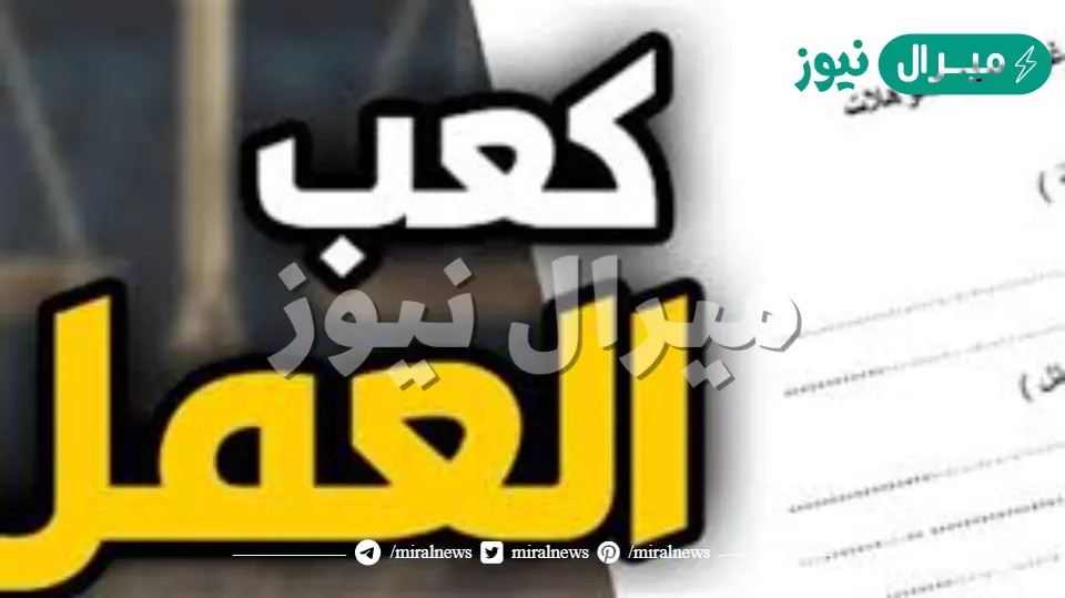 كيفية استخراج كعب العمل في مصر .. الخطوات والأوراق المطلوبة