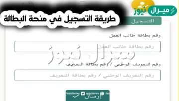 minha anem dz inscription منصة التسجيل في منحة البطالة الجزائر وكالة التشغيل