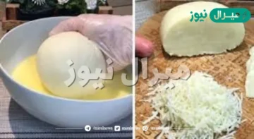 احلى من بتاعت المحلات.. طريقة عمل الجبنة الموتزاريلا فى المنزل بمكونات بسيطة وطعم رائع