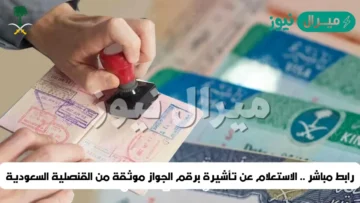 استعلام تأشيرة السعودية برقم الجواز برقم الطلب والرابط الرسمي