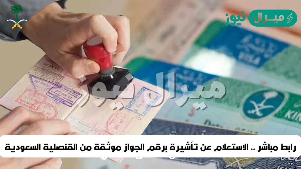 استعلام تأشيرة السعودية برقم الجواز برقم الطلب والرابط الرسمي
