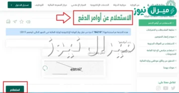 استعلام عن أمر دفع بوزارة المالية