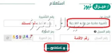 استعلام عن تأشيرة زيارة عائلية صادرة من وزارة الخارجية السعودية برقم الطلب