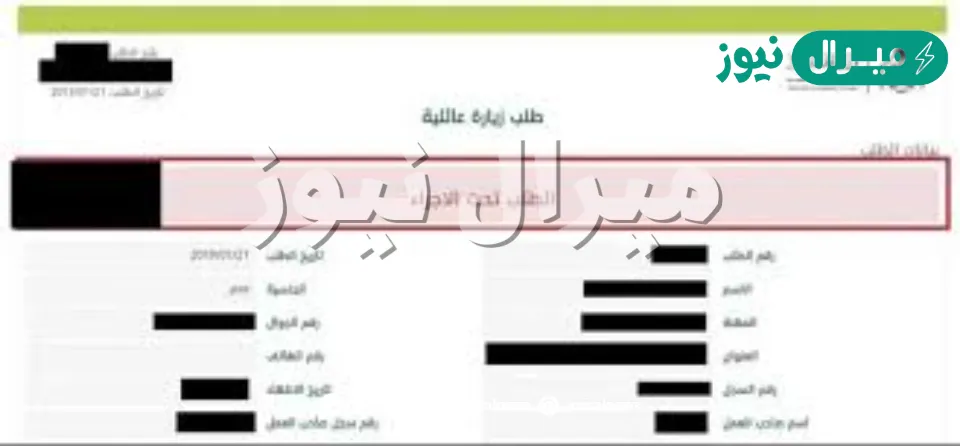 منصة التأشيرات.. استعلام عن طلب زيارة عائلية وزارة الخارجية