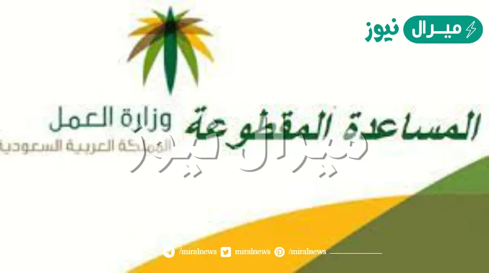الاستعلام عن أسماء المستفيدين من المساعدة المقطوعة بالمملكة شروط وخطوات التسجيل برقم الهوية
