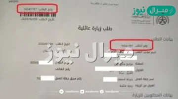 الاستعلام عن زيارة عائلية وزارة الخارجية السعودية موقع التأشيرات الإلكترونية