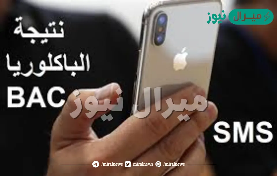 التسجيل في نتيجة البكالوريا BAC في تونس الدورة الرئيسية عبر رسائل الهاتف SMS