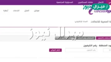 رابط موقع المصرية للاتصالات billing.te.eg للاستعلام عن فاتورة التليفون الأرضي
