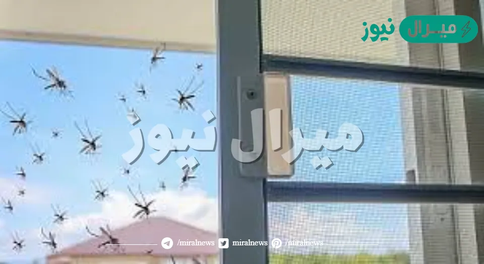 طرق التخلص من الناموس نهائياً وطرده خارج المنزل في نفس اليوم