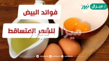 فوائد البيض للشعر المتساقط