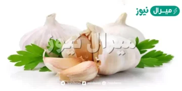 فوائد بلع فص الثوم على الريق والأمراض التي يعالجها الثوم فوائد تجبرك على تناوله
