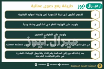 كيفية رفع دعوى عمالية في نظام العمل السعودي وأنواعها