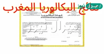 نتائج البكالوريا 2026 المغرب