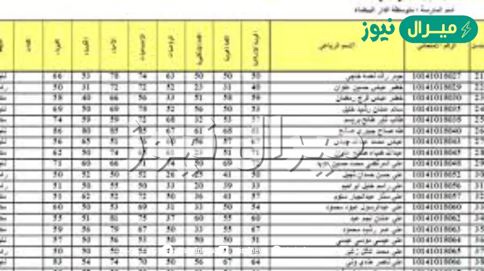 “PDF” نتائج الثالث متوسط الدور الأول في العراق بالتمهيدي والخارجي نينوى والسليمانية ولجميع المحافظات موقع نتائجنا عبر وزارة التربية العراقية