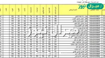 “pdf” نتائج الصف الثالث المتوسط دور اول من موقع وزارة التربية والتعليم العراقية epedu.gov.iq برقم الامتحاني
