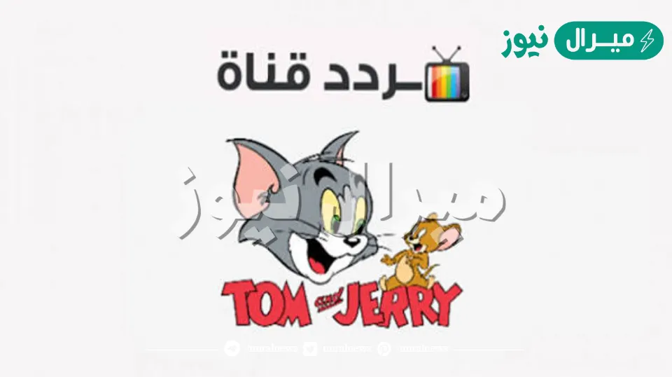 اضبط تردد قناة توم اند جيري وقنوات الأطفال بكل سهولة في ثواني