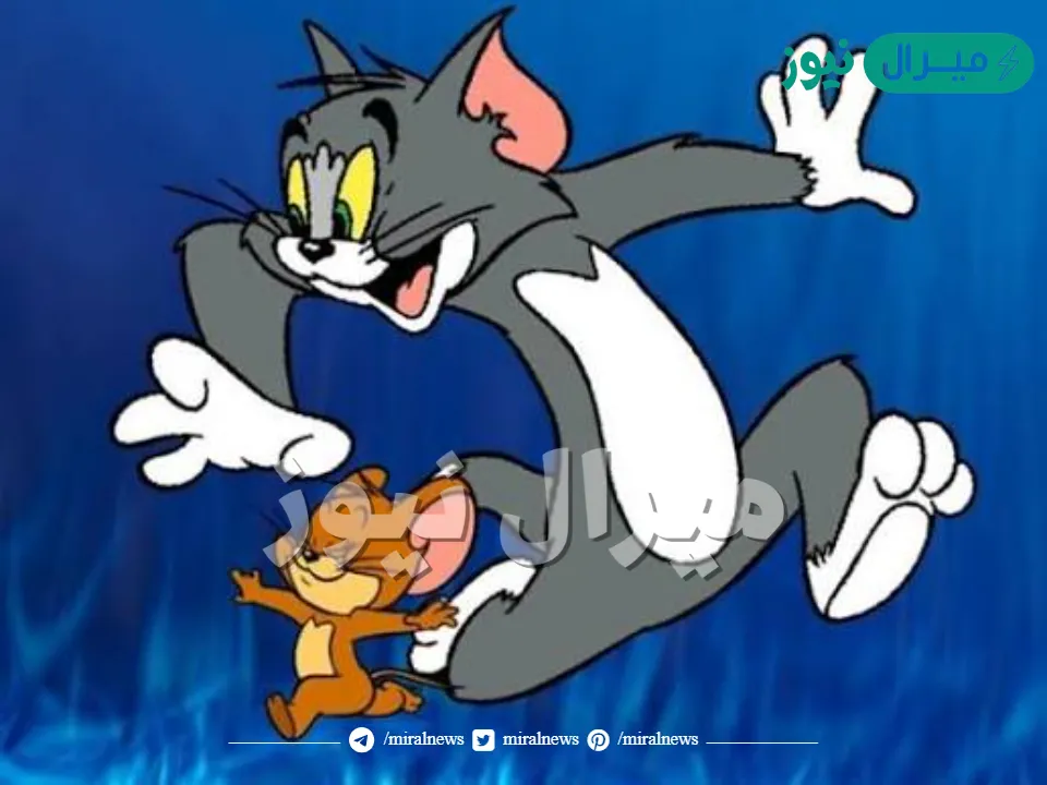 اضبط تردد قناة توم وجيري Tom & jerry أحدث الأفلام للكبار والصغار