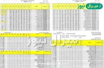 “صدرت pdf” موقع نتائجنا نتائج السادس الاعدادي 2026 العلمي والادبي والاحيائي والتطبيقي والمهني بالرقم الامتحاني عبر موقع وزارة التربية العراقية