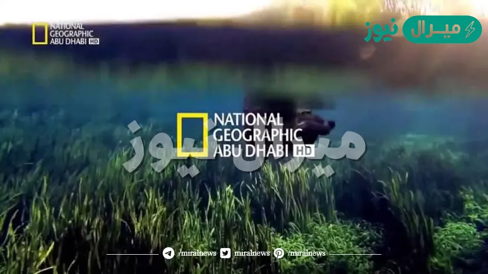 تردد قناة ناشيونال جيوغرافيك أبو ظبي الجديد HD على النايل سات وعرب سات