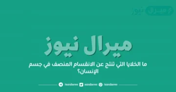ما الخلايا التي تنتج عن الانقسام المنصف في جسم الإنسان؟