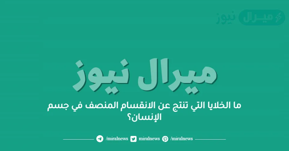 ما الخلايا التي تنتج عن الانقسام المنصف في جسم الإنسان؟