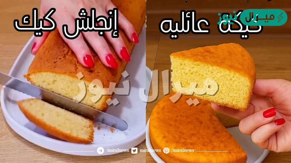 أسرع كيك اقتصادي اسفنجي هش ب ٣ بيضات فقط حضريه في الخلاط