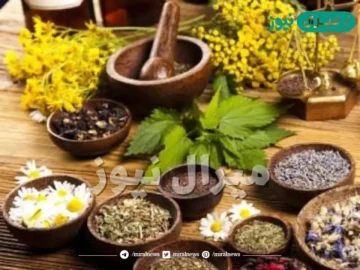 اسحري الكل بريحة جسمك.. معطر ومرطب رهيب لتعطير الجسم كله تدوم 3 ليالي أقوى وصفه